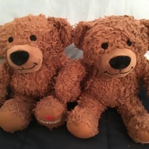 5/$25 Soon health stuffed bear